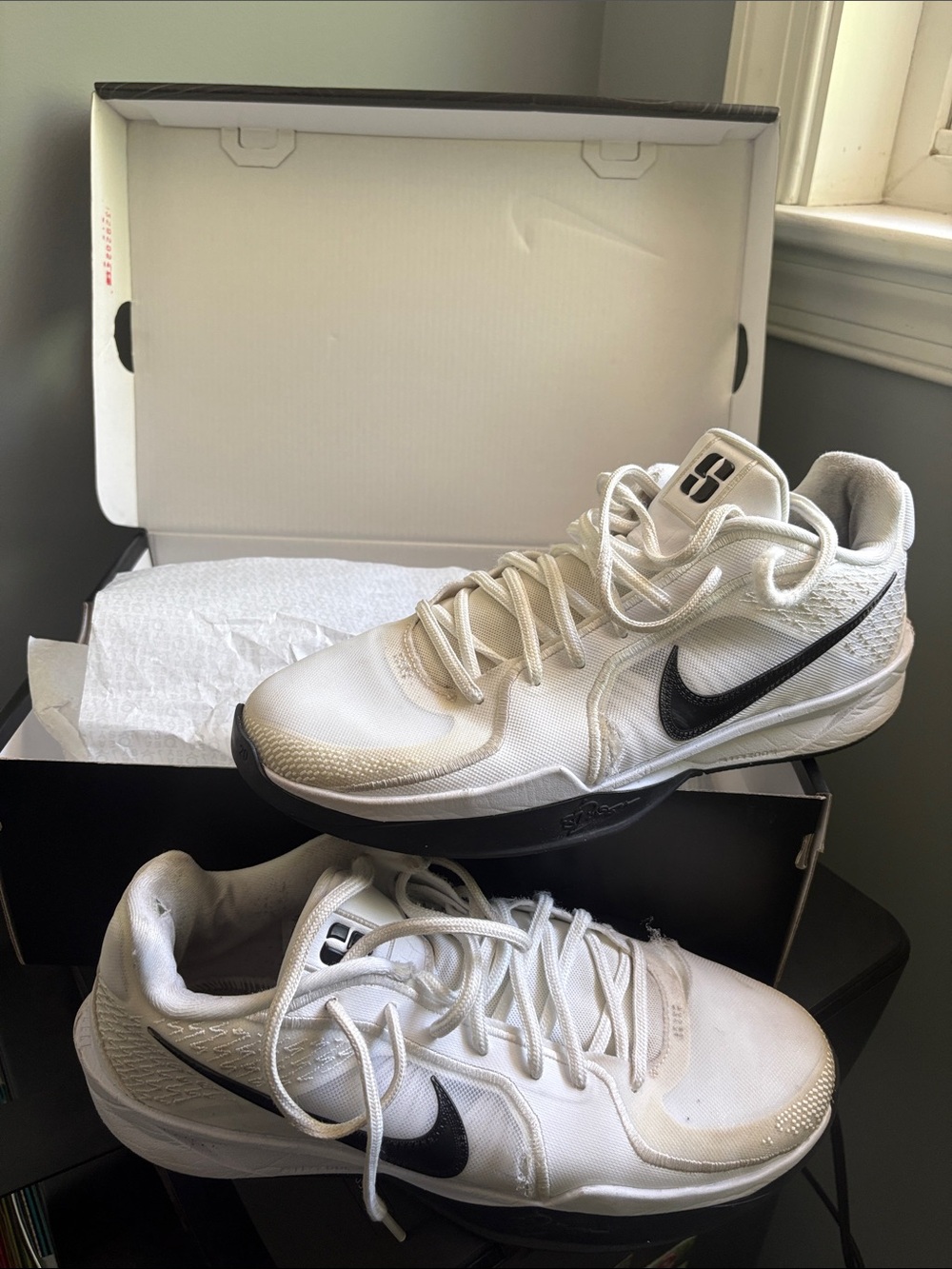 KD17 TB P